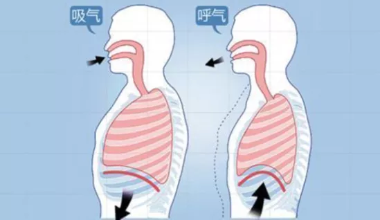 胸腹部的矛盾呼吸是指呼吸时胸廓与腹部出现相反运动,又称为反常呼吸