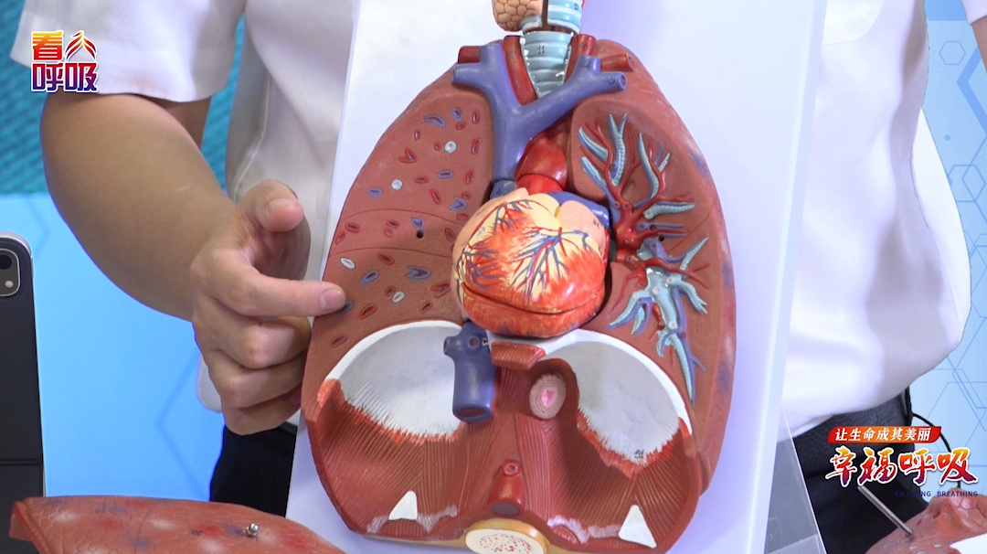 肺大泡在什么特定条件下会破？