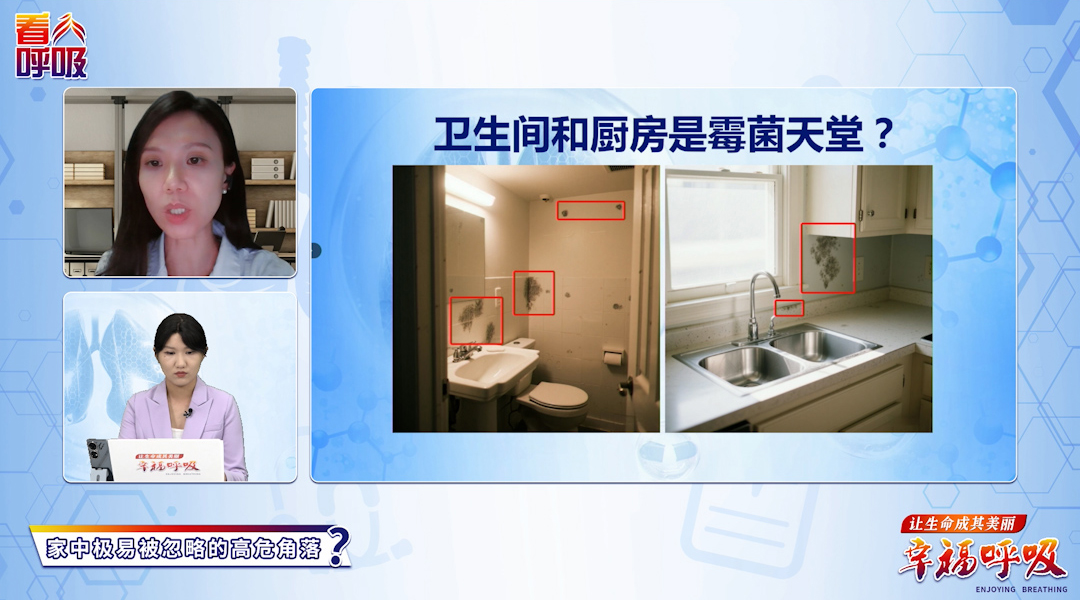 霉菌擦掉又长？肺病患者这样除霉才管用