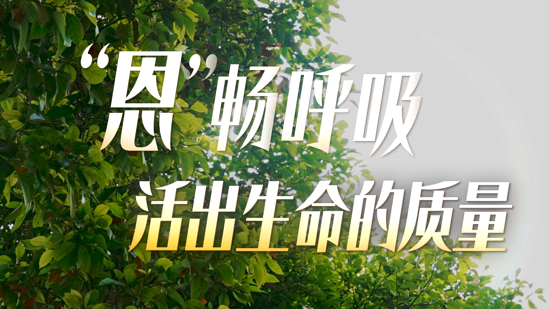 “恩”畅呼吸，活出生命的质量—— 一位慢阻肺病患者的故事